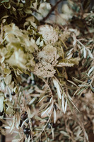 urban-wineries-shoot-099