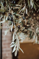 urban-wineries-shoot-098