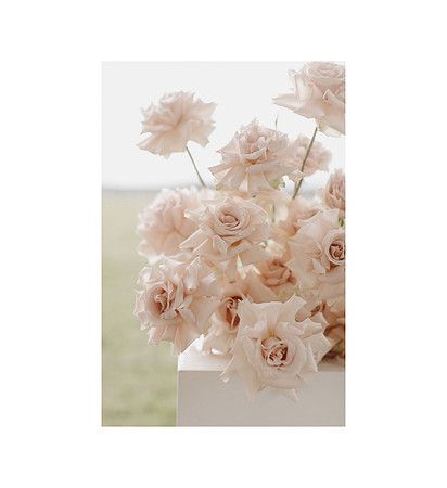 032_amy-david-married0242