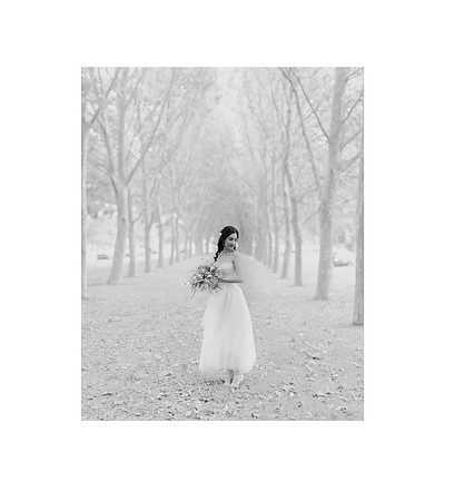 041_amy-oliver-married-0291-Pano_Sydney Wedding Photographer