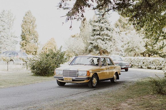 035_candice-gavin-married-0253