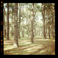 20101006 Film