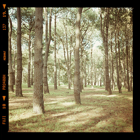 Film1