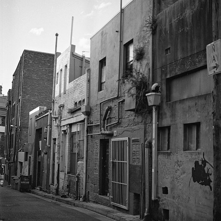 surry-hills-02