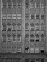 surry-hills-01