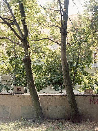 belgrade-094
