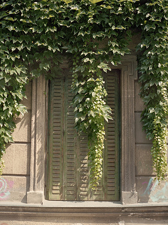 belgrade-096