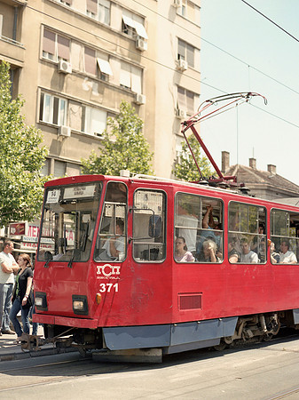 belgrade-113