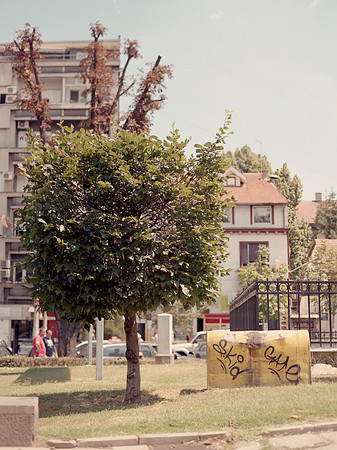 belgrade-112