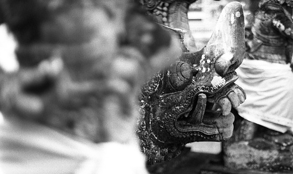 Bali052
