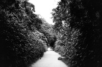 USA-BW-012