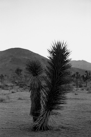 USA-BW-060