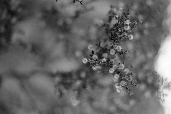 USA-BW-048