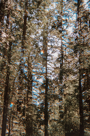 USA-Trip-015