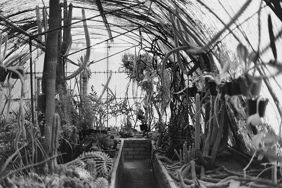 USA-BW-070
