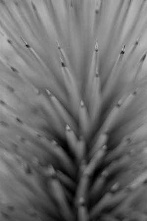 USA-BW-059