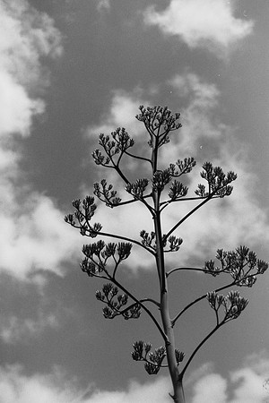 USA-BW-067