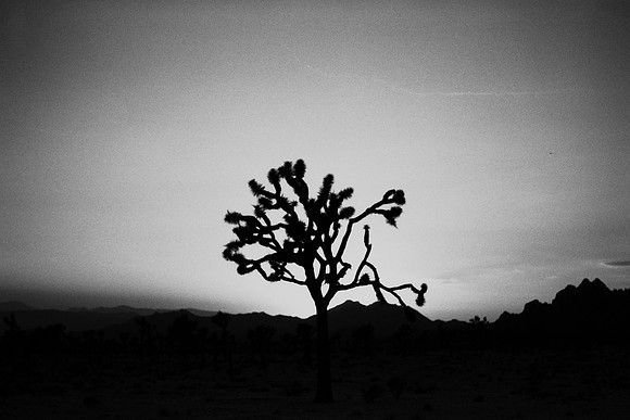 USA-BW-056
