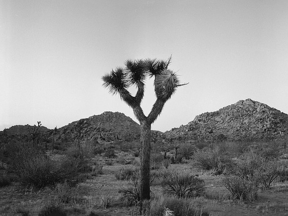 USA-BW-054