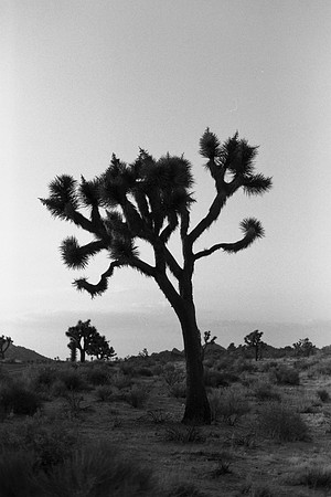 USA-BW-045