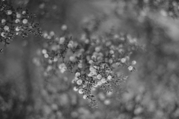 USA-BW-046