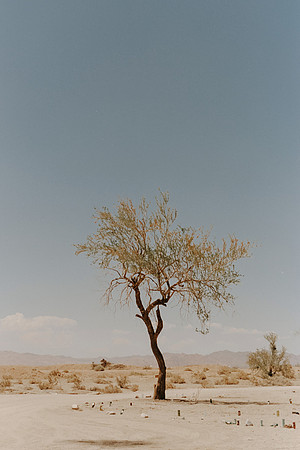 USA-Trip-147