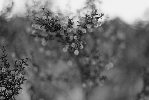 USA-BW-047
