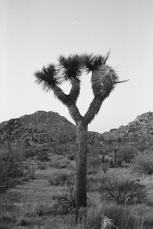 USA-BW-053