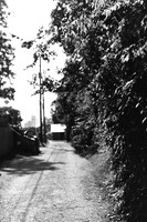 USA-BW-008