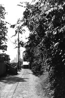 USA-BW-009