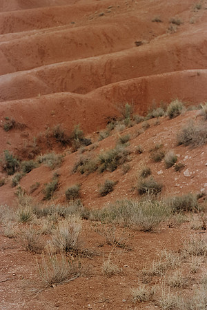 USA-Trip-090