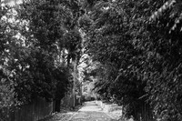 AA103