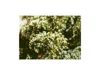 USCanadaAlbum-17