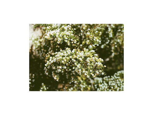 USCanadaAlbum-17