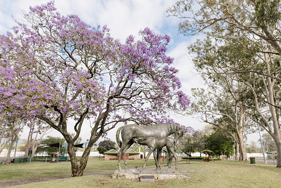 KAB-Tidy-Towns-2023-651