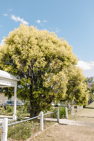 KAB-Tidy-Towns-2023-202