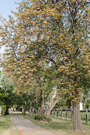 KAB-Tidy-Towns-2023-231