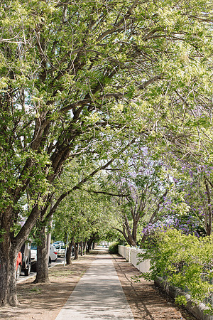 KAB-Tidy-Towns-2023-226