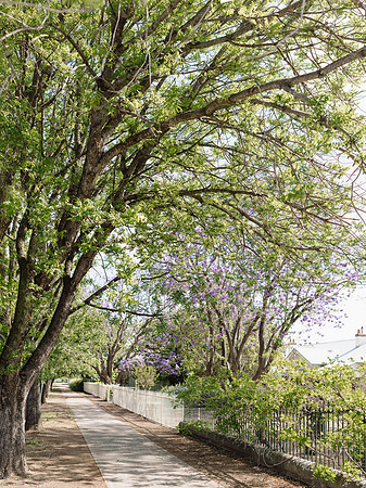 KAB-Tidy-Towns-2023-227