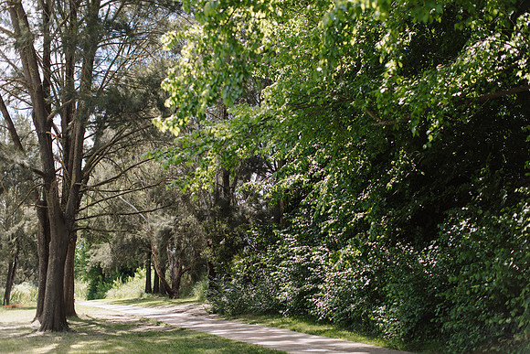 KAB-Tidy-Towns-2024-200