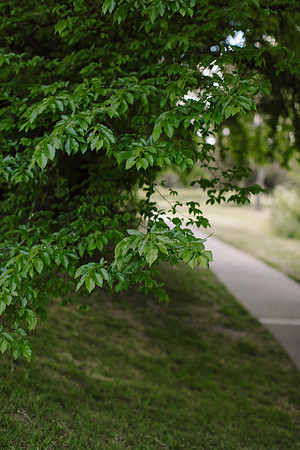 KAB-Tidy-Towns-2024-206